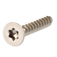 Eco-Syn pour Thermoplastiques TF Torx 2.2X8 Inox A2