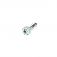 TC Torx M8X40 Acier 8.8 Zingué Blanc ISO 14580