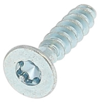 Plastite TF Torx 3X10 Acier Zingué Blanc Wn 1423