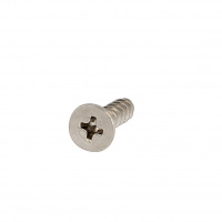 Plastite TFZ 3X10 Inox A2 Wn 1413