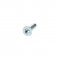 TF Torx M2.5X4 Acier 8.8 Zingué Blanc ISO 14581