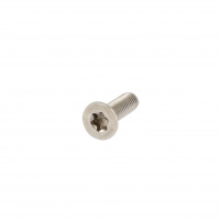 TF Torx M2.5X4 Inox A2 ISO 14581