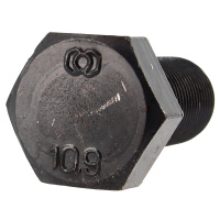 TH M24X50/50 Pas 200 Acier 10.9 Noir Filetage Total DIN 961