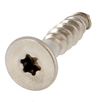 VBA TF Torx 3X25/17 Inox A2