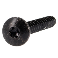 Vis de Penture TRL Torx 6X20 Acier Zingué Noir