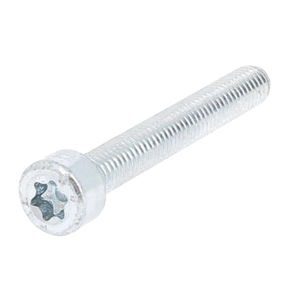 TC TORX M5X20 ACIER 8.8 Z.BLANC ISO 14579