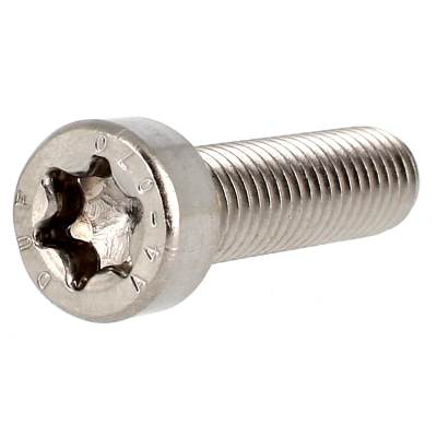 Tête Cylindrique Basse Torx M6X25 Inox A4 ISO 14580
