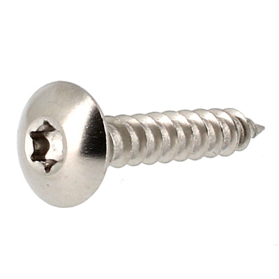 Vis de Penture TRL Torx 6X30 Inox A2
