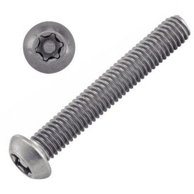 VIS INVIOLABLE TB TORX + TETON M4X25 INOX A2