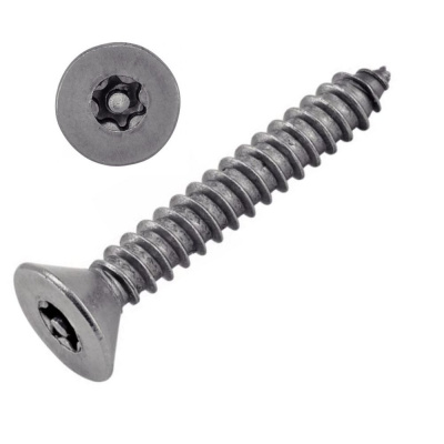 VIS TOLE INVIOLABLE TF TORX + TETON 4.2X19 INOX A2